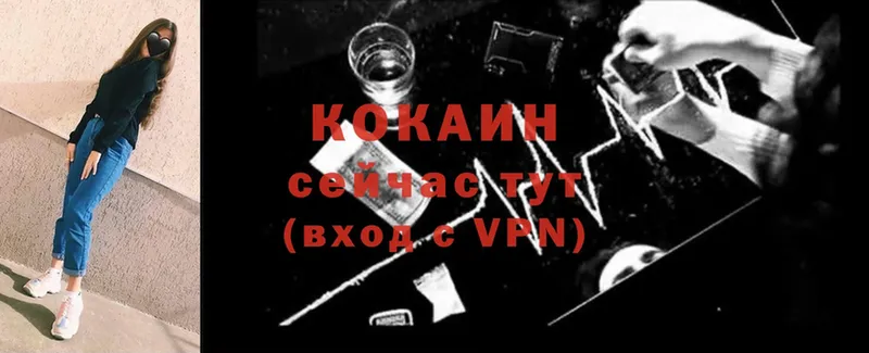 Cocaine Fish Scale  где продают наркотики  Кингисепп 